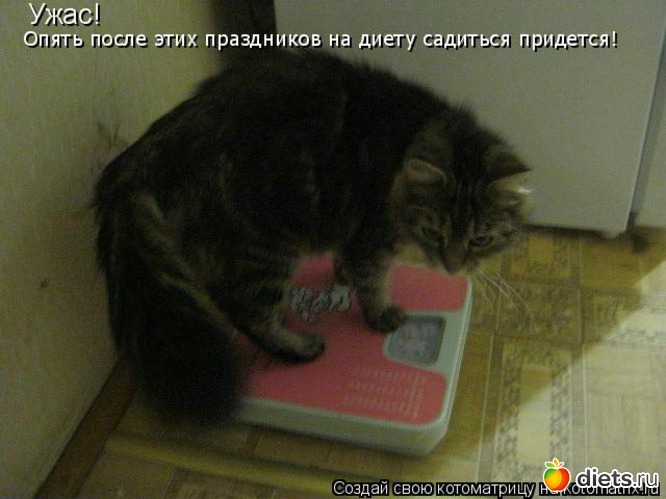 14 фото: стимул