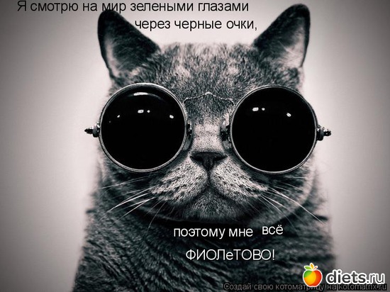 16 фото: стимул