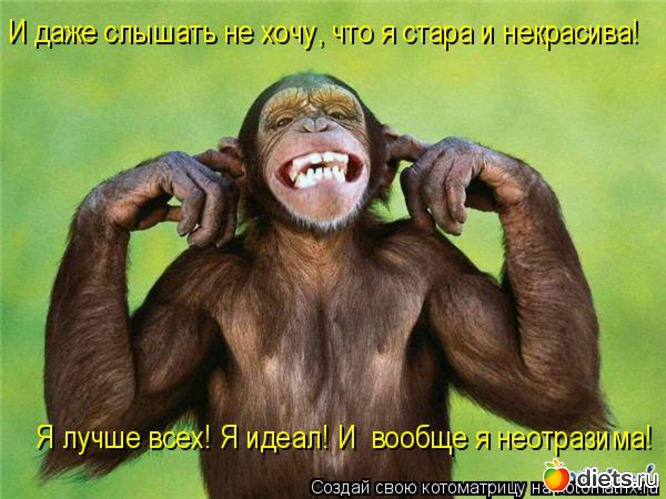 20 фото: стимул