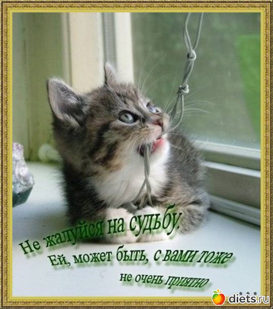 21 фото: стимул