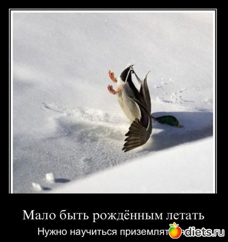 22 фото: стимул