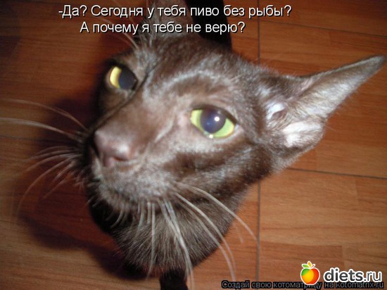 24 фото: стимул