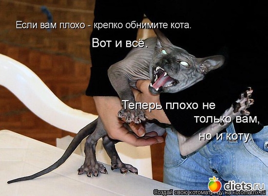 25 фото: стимул