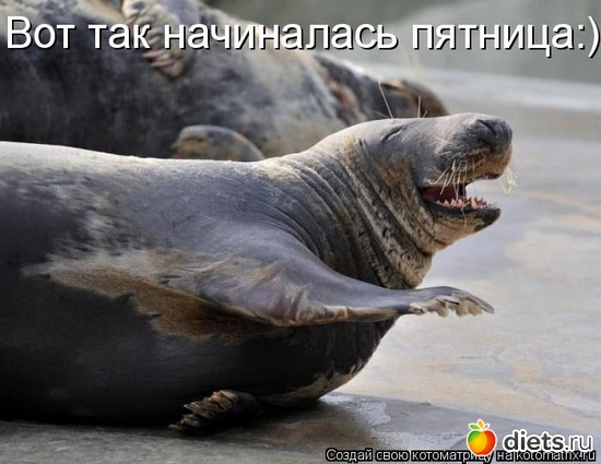 26 фото: стимул