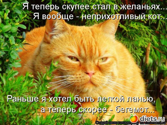 28 фото: стимул