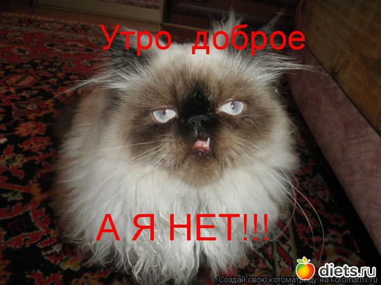 29 фото: стимул