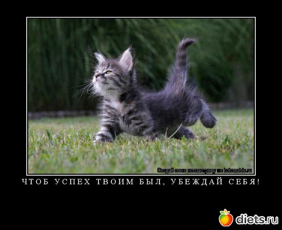 30 фото: стимул