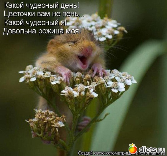 31 фото: стимул