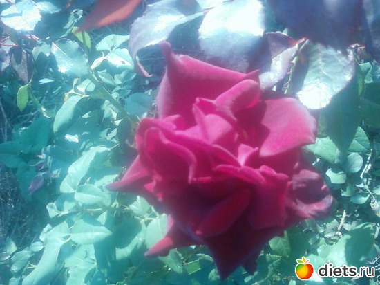 10 фото: Я и моя семя