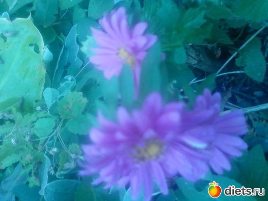 11 ����: � � ��� ����