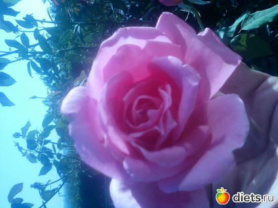 12 ����: � � ��� ����