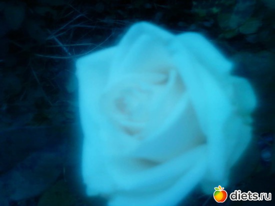 13 ����: � � ��� ����