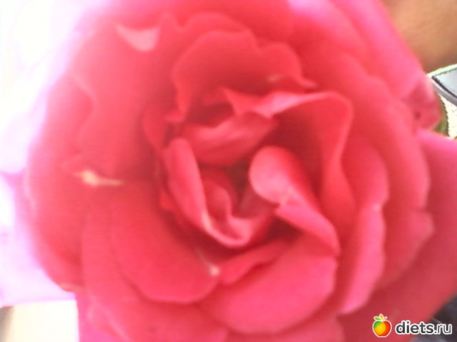 14 ����: � � ��� ����