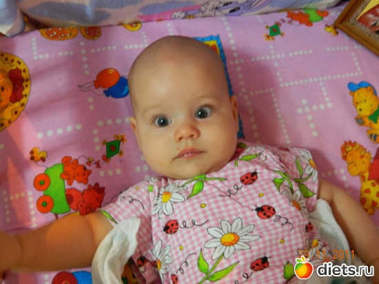 1 ����: ��� ���������