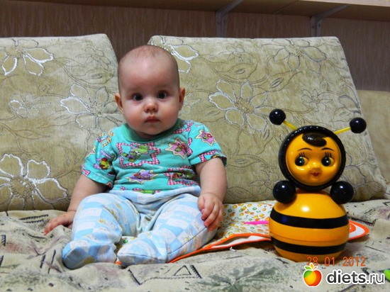 5 ����: ��� ���������