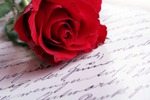 Занесите цветок человечности в красную книгу! Рассказы Дины Рубиной.