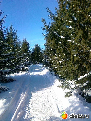 �����, ������: ������� ������ -���������