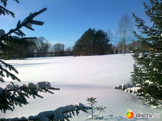 ������, ������: ������� ������ -���������