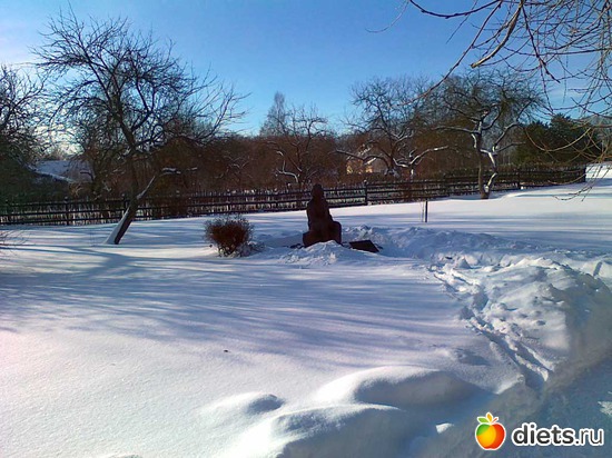 ��������, ������: ������� ������ -���������