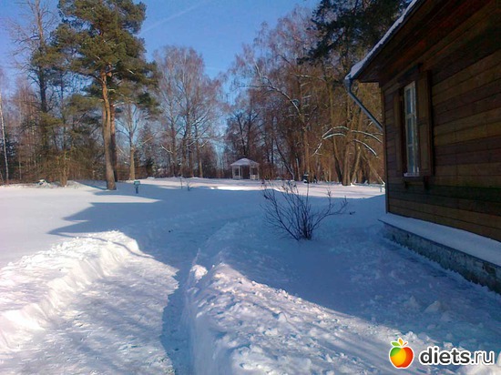 Беседка, альбом: Усадьба Репина -Здравнево