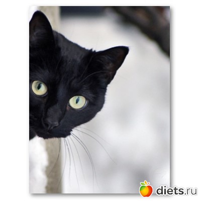 ��� ��� ��� ���� �����?