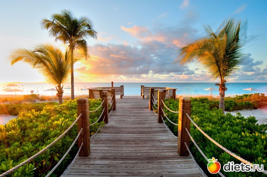 39 ����: ������ �� �� ���� ���, ��� ����� ��� �? =)