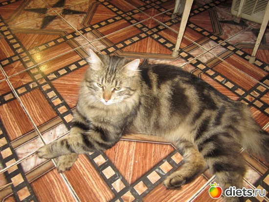 9 фото: Мой Маркизка