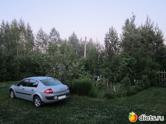 1 ����: ��� ����