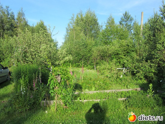 2 ����: ��� ����