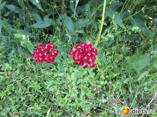 4 ����: ��� ����