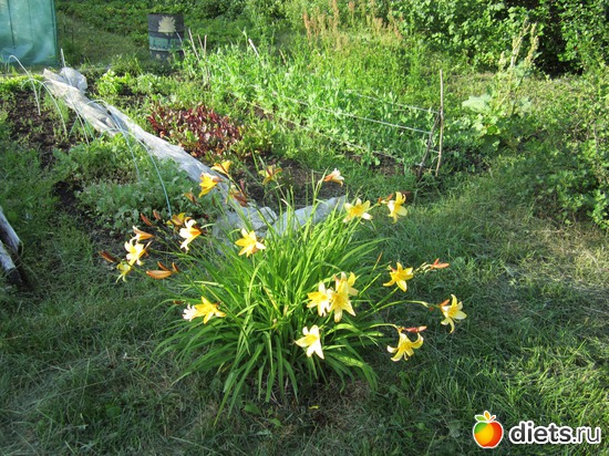 6 ����: ��� ����