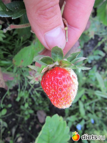 9 ����: ��� ����