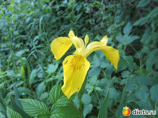 16 ����: ��� ����