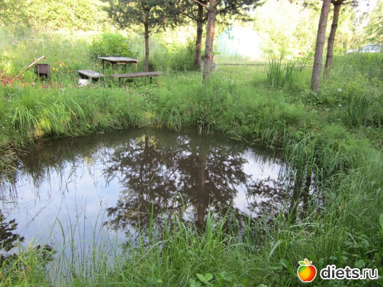 17 ����: ��� ����