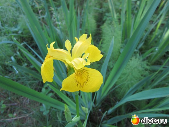 18 ����: ��� ����