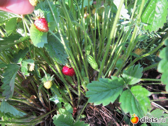 20 ����: ��� ����