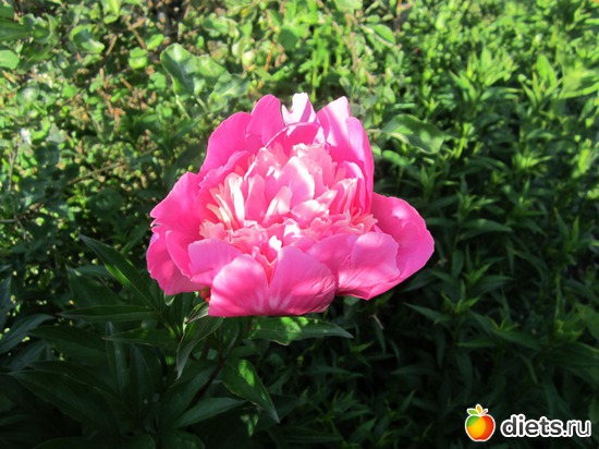 23 ����: ��� ����