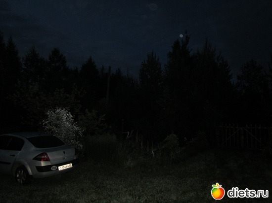 26 ����: ��� ����