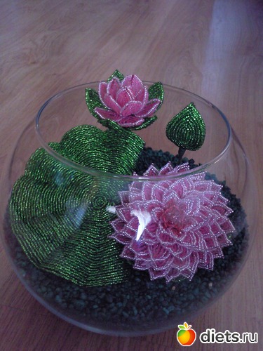 3 ����: �����