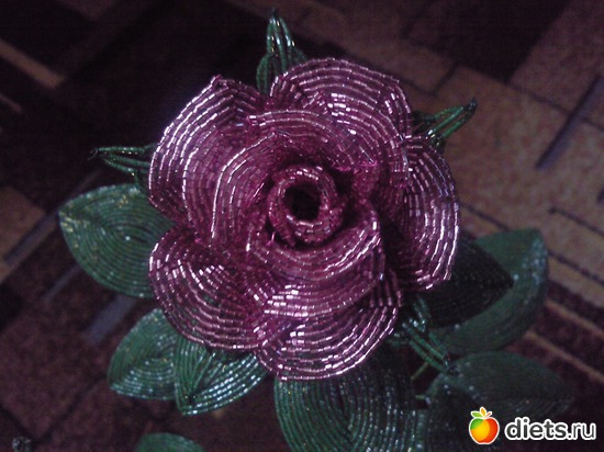 5 ����: �����