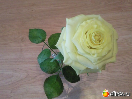 6 ����: �����