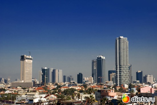 1 ����: �������