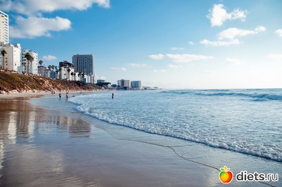 3 ����: �������