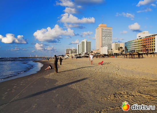 4 ����: �������