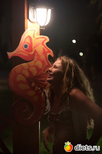 3 ����: ��� ����