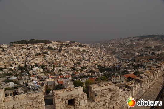 8 ����: �������