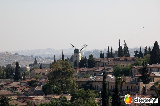 10 ����: �������