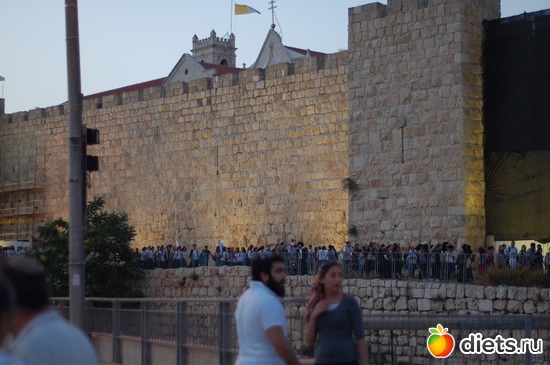 11 ����: �������