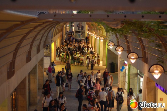 12 ����: �������