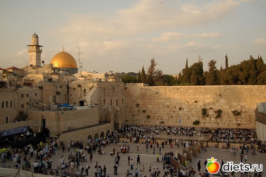 14 ����: �������